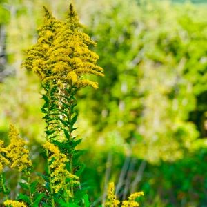 Meet your Posher, Will